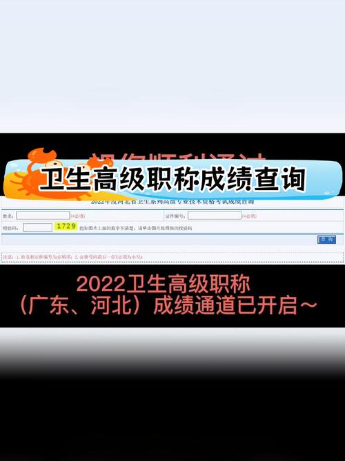 卫生职称考试证书查询_卫生职称考试查询成绩查询_16卫生职称资格考试成绩查询