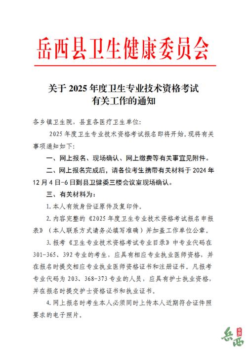 中国卫生人才评价_全国卫生人才评价_卫生人才网中国