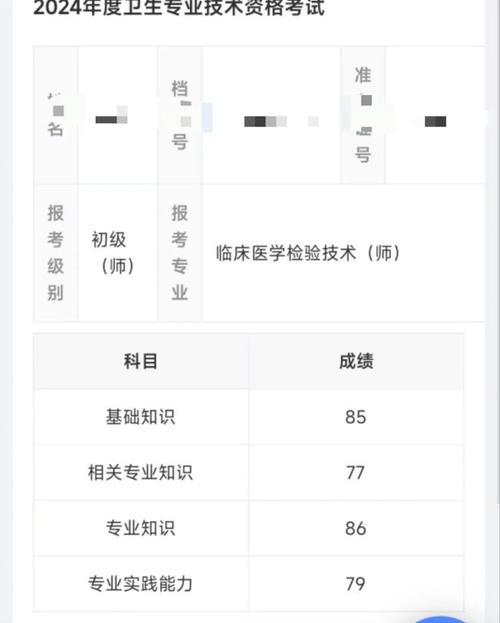 卫生人才评价考试成绩_卫生人才评价成绩查询时间_卫生人才网成绩