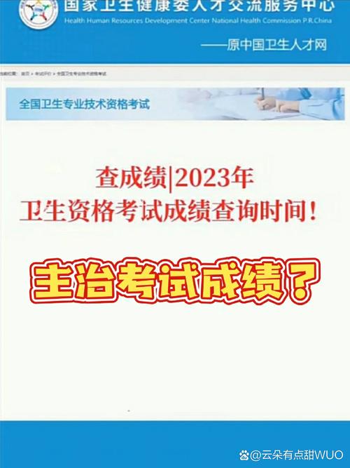 卫生人才评价成绩查询时间_卫生人才评价成绩查询_卫生人才评价考试成绩