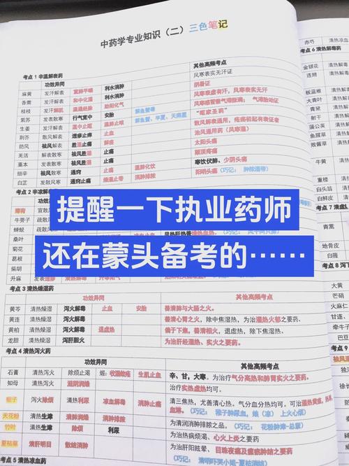 中医执业药师考试视频_中医执业医师考试中药学视频_中医执业药师免费视频