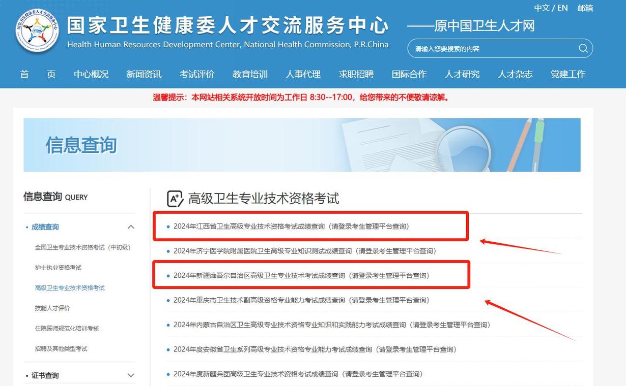 卫生人才评价考试查询_卫生查询人才成绩评价怎么填_卫生人才评价成绩查询