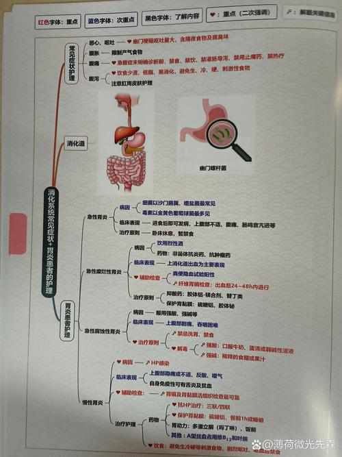 消化科操作考试_护士考试消化系统视频_2020护考消化系统高频考点