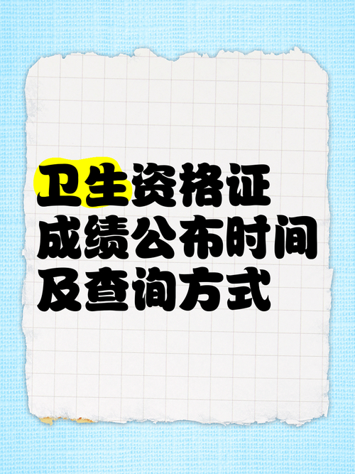卫生人才评价成绩查询_人才卫生网查成绩_卫生人才评价考试成绩