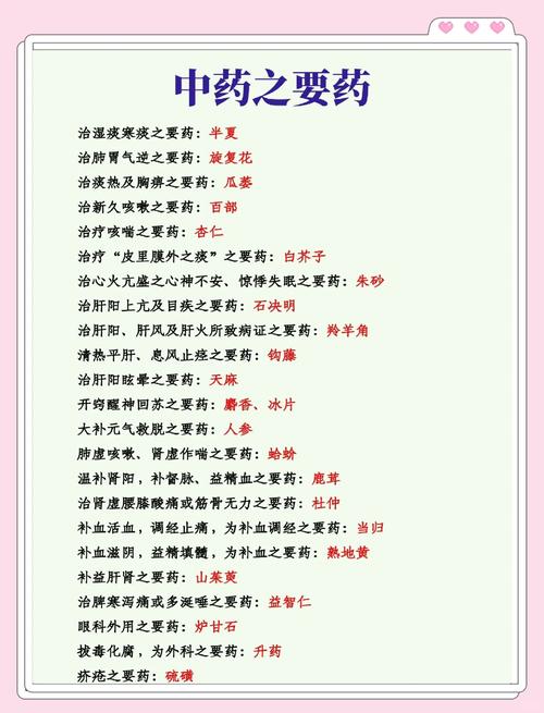 中药执业药师考试题型_中药执业药师考试时间_中药 执业药师考试