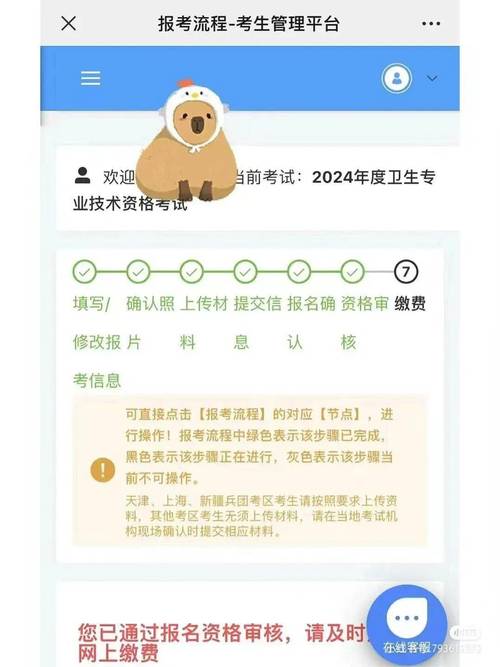 卫生资格缴费入口_卫生资格考试缴费查询_卫生资格考试网上缴费
