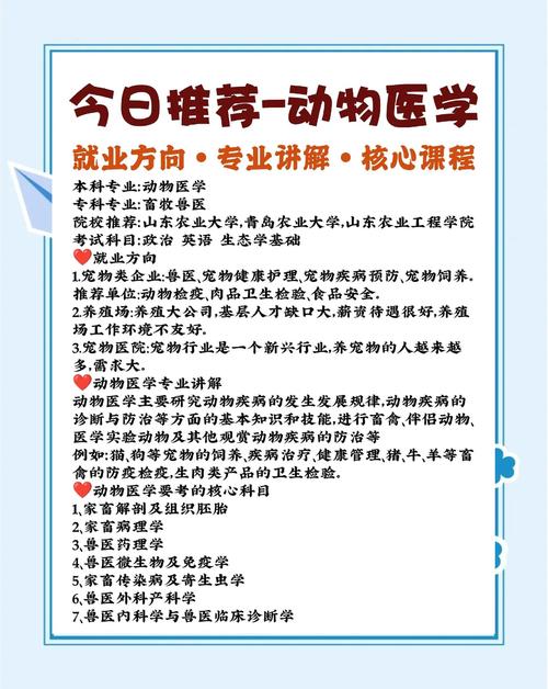 执业兽医考试时间_执业兽医考试_执业兽医考试考几科