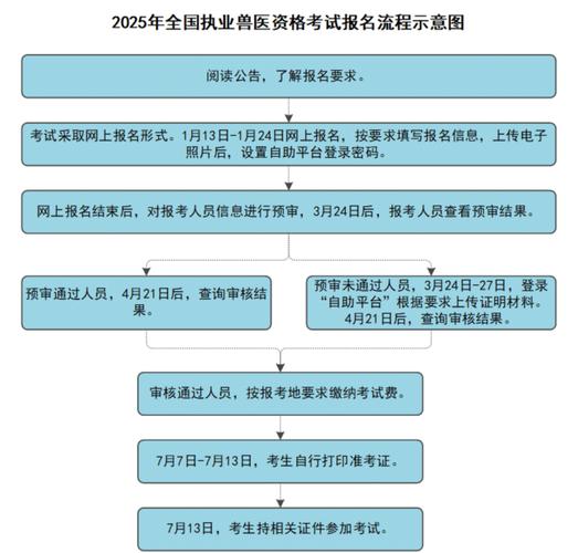 在校生报考执业兽医_执业兽医资格证在校生_2025年执业兽医考试在校学生证明格式