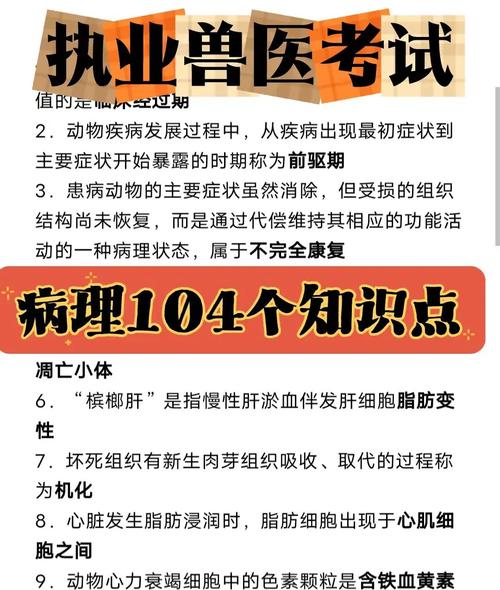执业兽医考试准考证_执业兽医考试准考证打印入口_执业兽医资格证准考证