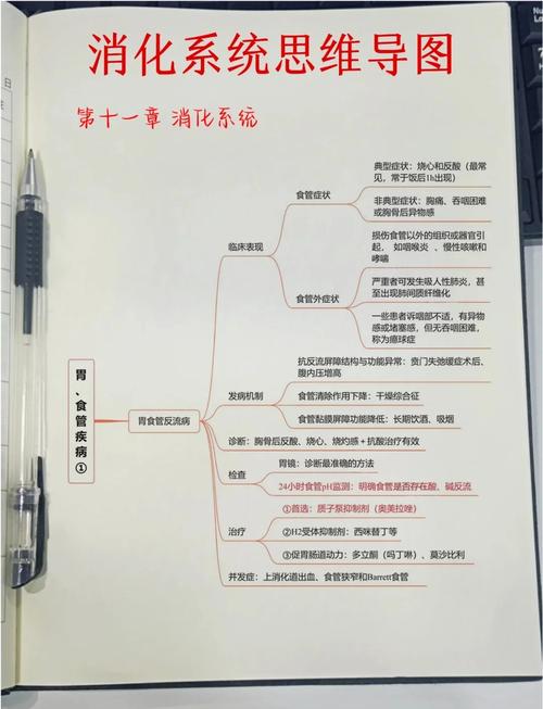 消化内科高级职称考试题_卫生高级职称考试 消化内科正高 破解版_消化内科高级职称医学宝典