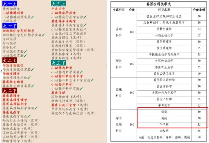执业兽医资格考试历年真题_09年执业兽医资格证考试真题_全国执业兽医资格考试真题解析