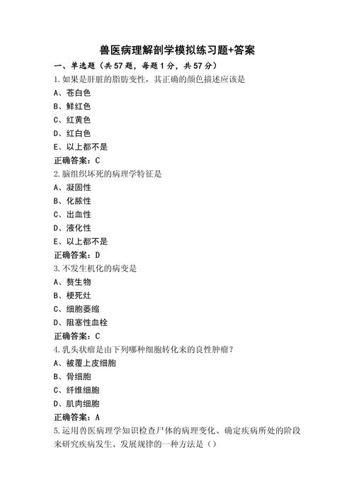 兽医病理学实践考试怎么考_执业兽医资格证考试兽医动物病理学习题_执业兽医病理学试题