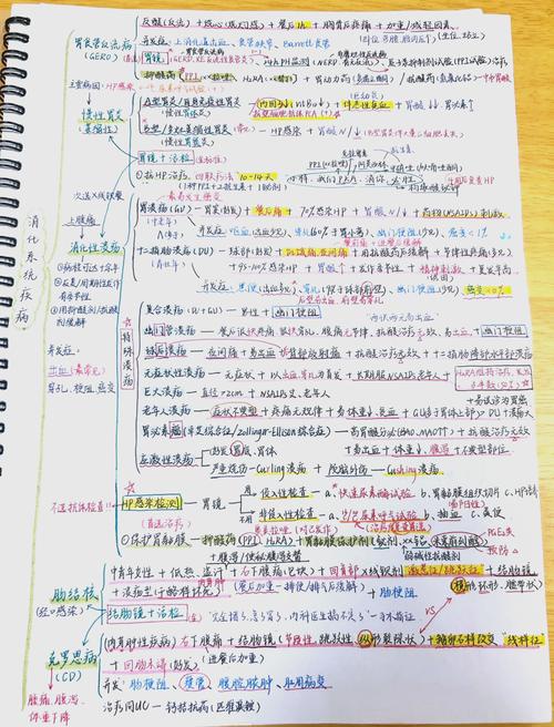 卫生高级职称考试 消化内科正高 破解版_消化内科高级职称考试题_消化内科高级考试真题及答案