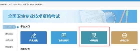 护士证考试结果查询_护士资格证查成绩入口_全国护士资格证考试成绩查询