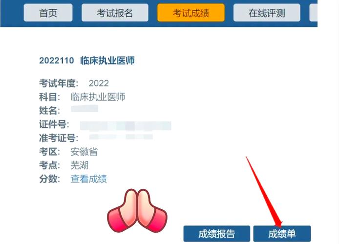 2021国家医师资格成绩查询_14国家执业医师考试成绩查询_14国家执业医师考试成绩查询