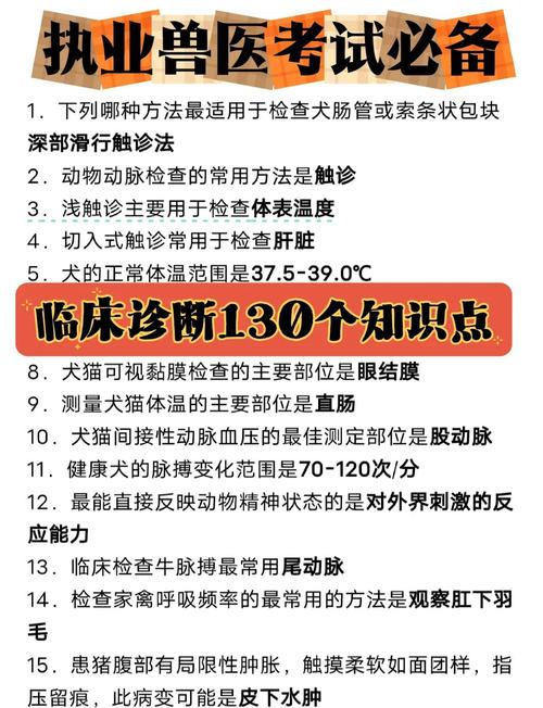 执业兽医资格考试(兽医全科类)7天考点速记本_兽医资格证考试科目时间_兽医资格证考试地点在哪里