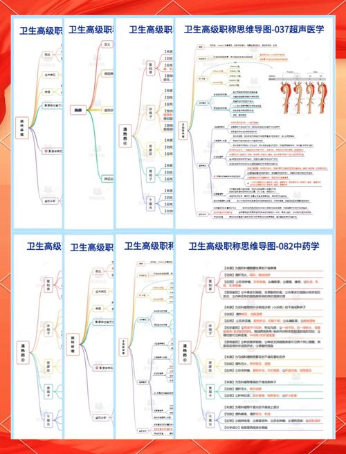 卫生副高级职称考试科目_卫生副高级职称考试_卫生副高级考试评分规则