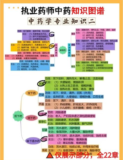 执业药师考试中药二_中药执业药师考试时间_中药执业药师考试科目时间安排