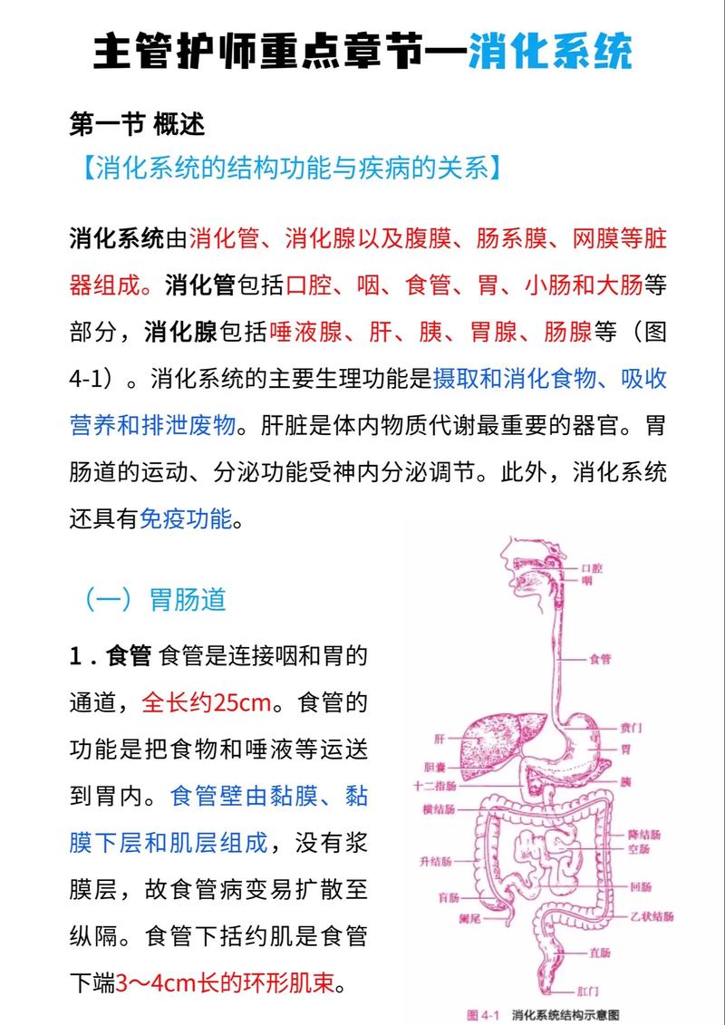 消化内科高级职称医学宝典_卫生高级职称考试 消化内科正高 破解版_有关消化内科晋级副高的题库