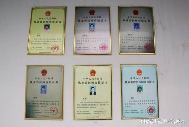 兽医执业资格证考试_执业兽医资格考试流程_执业兽医资格考试百科