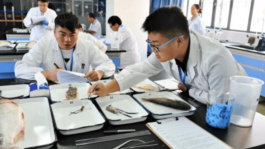 大型设备上岗证报考资格_2025大型设备上岗证报名_大型设备上岗证2021报名