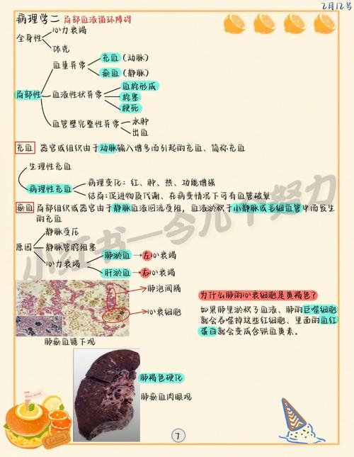 执业兽医资格证考试兽医动物病理学习题_兽医病理学期末考试_执业兽医病理学试题