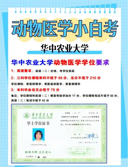 执业兽医资格证在校生_兽医证明怎么考_2025年执业兽医考试在校学生证明格式