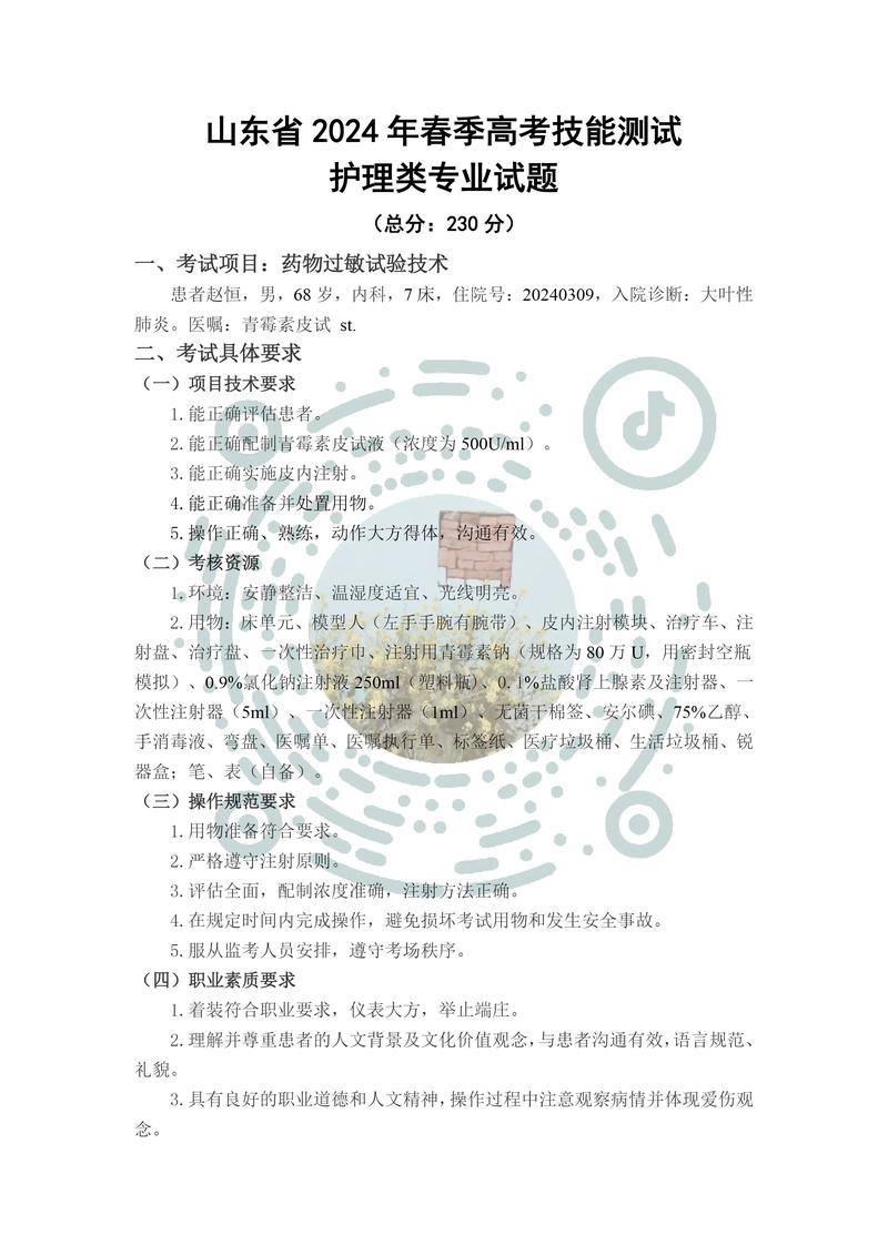 护士考试试卷大全_n2级护士考试试卷_试卷护士考试级别是什么