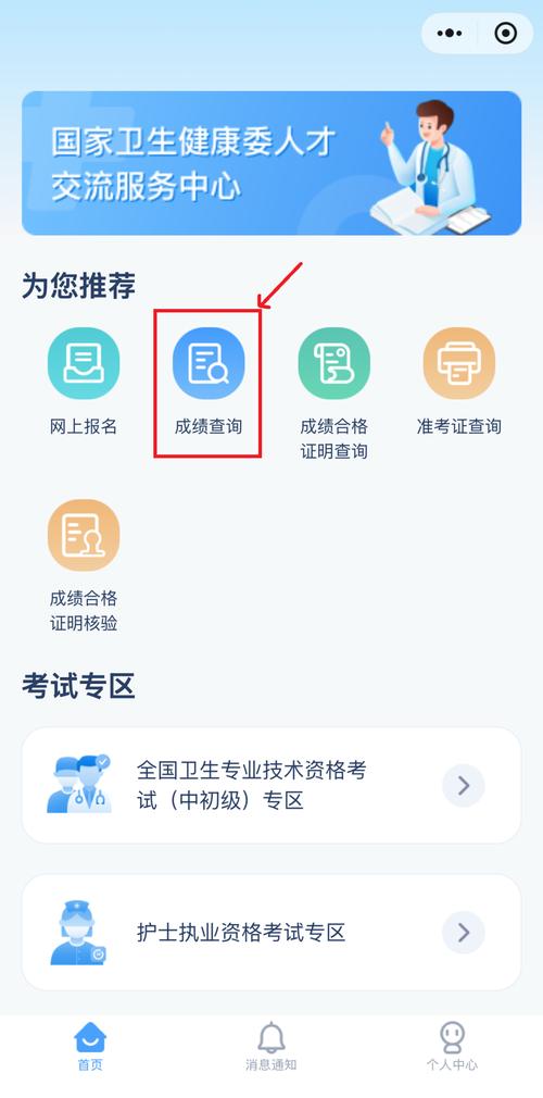 卫生人才评价成绩查询_卫生人才评价考试成绩_卫生人才评价考试查询