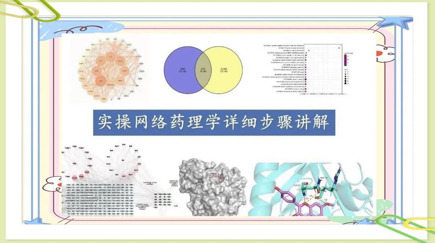 执业药师西药视频课程全套免费_执业西药师药综在线视频_执业药师考试西药在线视频