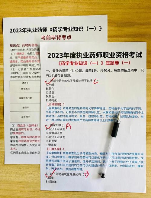 怎样打印执业药师成绩单_14执业西药师考试成绩单打印_执业药师成绩在哪里打印