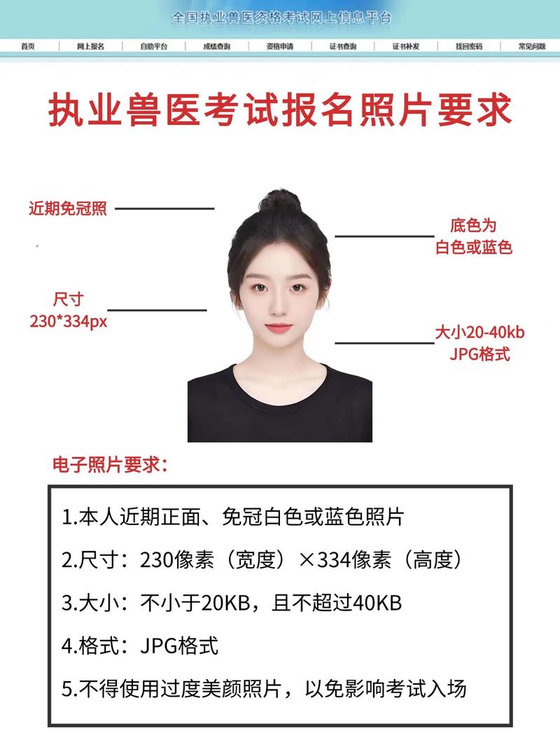 执业兽医报名考试照片尺寸_执业兽医考试报名照片_执业兽医报名考试照片要求