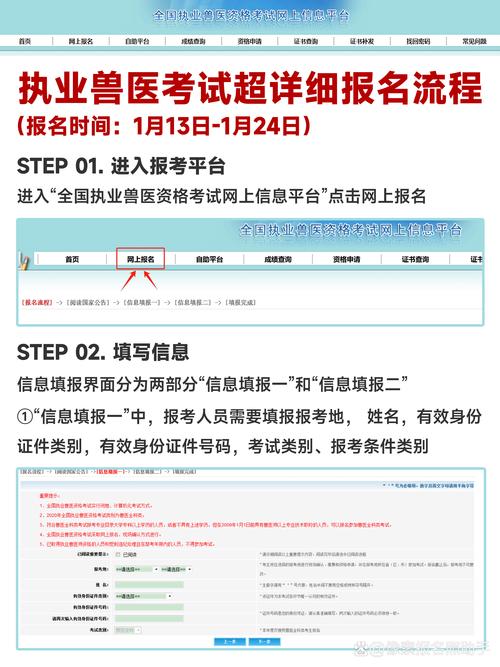 执业兽医报名考试照片尺寸_执业兽医报名考试照片怎么上传_执业兽医考试报名照片