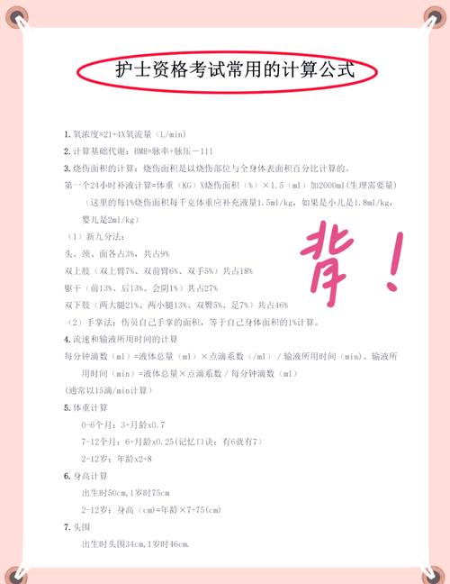 2021全国护士资格考试指导_2020全国护士执业考试指导_全国护士执业资格考试应试指南
