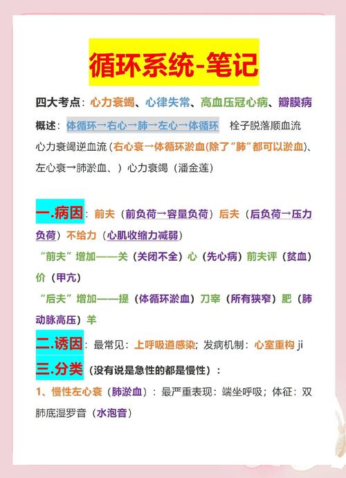 护士深度理论考试分析怎么写_护士理论考试深度分析_护士理论考试及分析