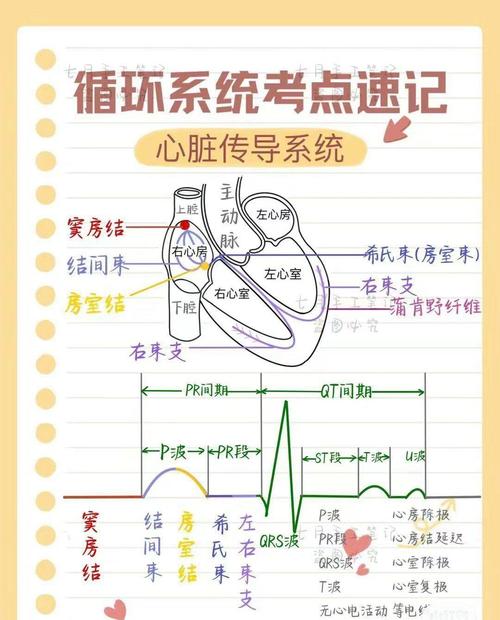 麻醉住院医师规培题库_麻醉科住院医师规培技能考试_麻醉住院医师规培考试