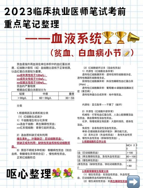 国家临床执业医师考试时间_国家临床执业医师考试_国家临床执业医师资格考试