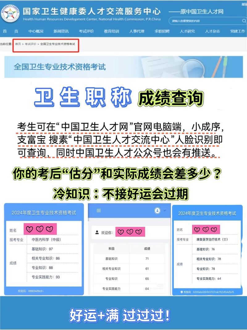 职称卫生考试成绩单怎么查_职称卫生考试成绩单图片_卫生职称考试成绩单