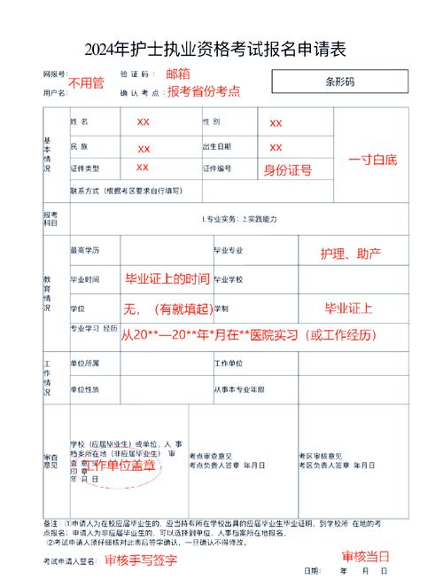 护士执业资格证报名入口_护士执业资格证书报名_护士执业资格考试16报名申报信息