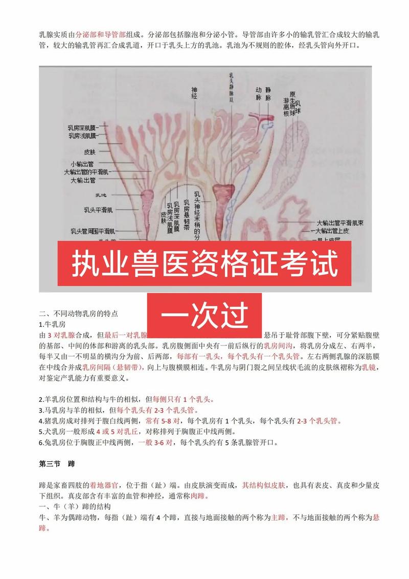 执业兽医资格考试(兽医全科类)7天考点速记本_兽医资格证考试地点在哪里_兽医资格证考试指南