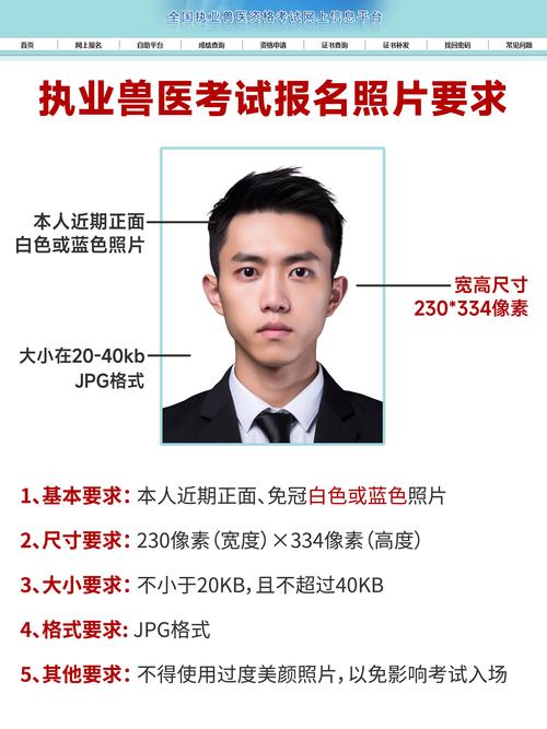 执业兽医资格考试照片格式_执业兽医报名考试照片要求_执业兽医考试报名照片