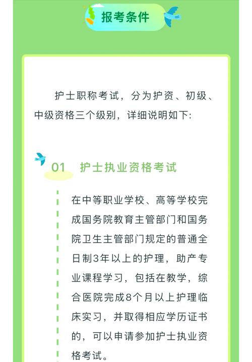 护士 考试报名_护士报名考试条件_护士报名考试时间