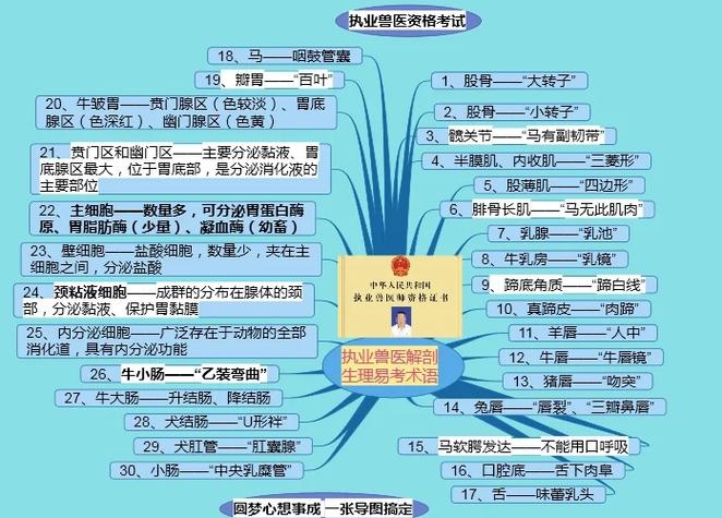 全2025年国执业兽医考试真题_2021年执业兽医考试改革_2020全国执业兽医考试