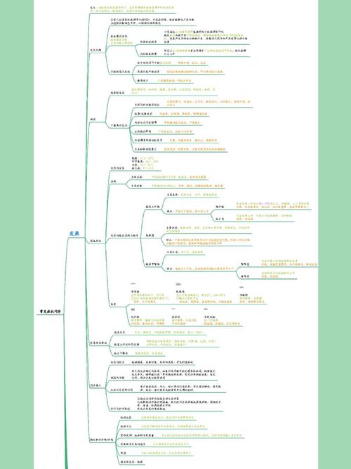 卫生人才网成绩_卫生人才评价考试成绩_卫生考试人才成绩评价怎么写